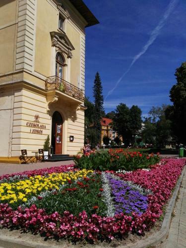 Apartament Kraszewskiego 35