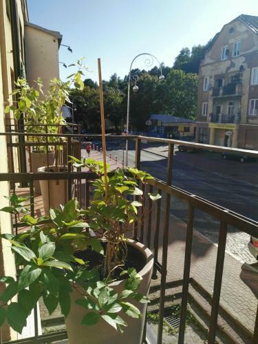 Apartament Kraszewskiego 35