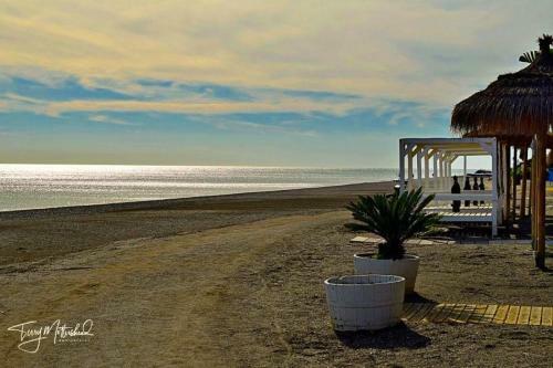Mikas Apartment