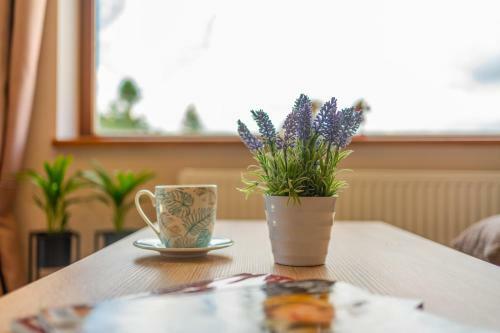 Bed & Breakfast Willa Montis