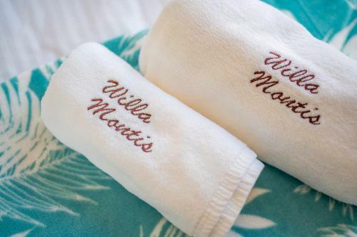 Bed & Breakfast Willa Montis