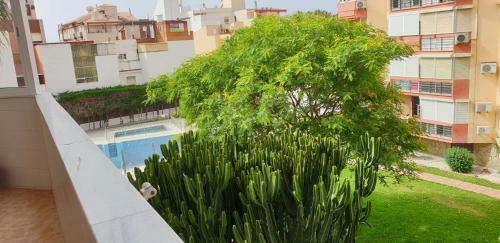 Apartamento Plazamar, 2 - 2� L�nea De Playa