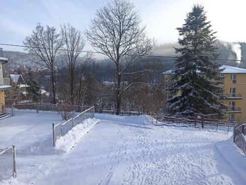 Apartament Krynica Centrum