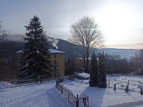 Apartament Krynica Centrum
