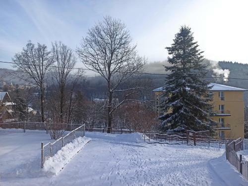 Apartament Krynica Centrum