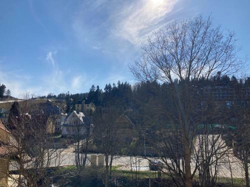 Apartament Mineralny