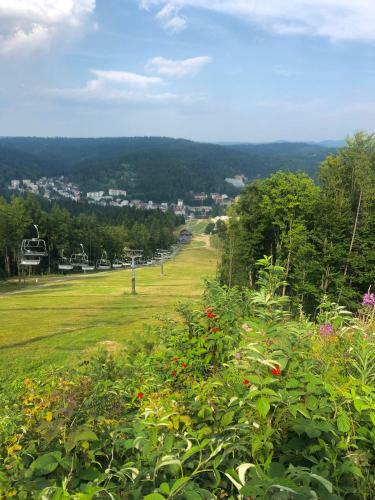 Apartament W G�reczkach