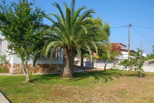 Casa Berl�n