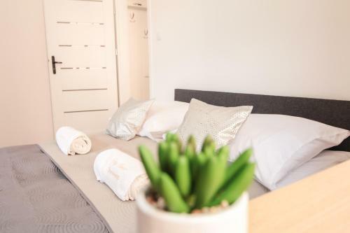 Apartament City Center Silver - Luxury Standard