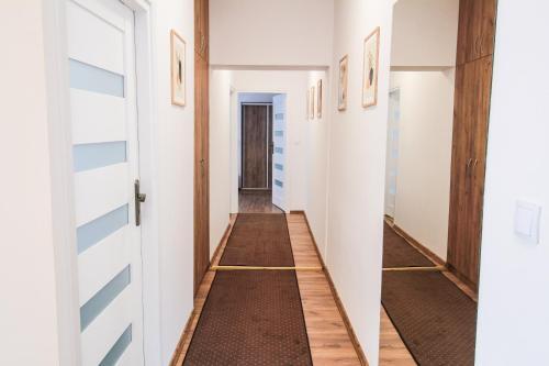 Apartament City Center Standard 6