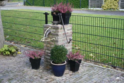 B&B De Droomhoeve