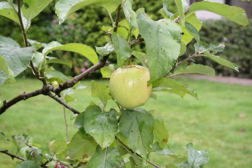 B&B De Droomhoeve