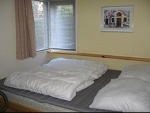 Chalet Recreatiepark De Friese Wadden3