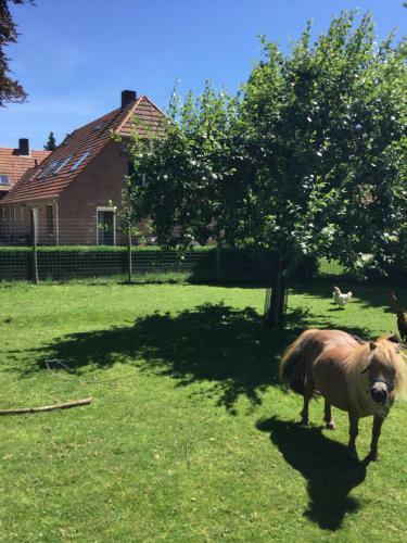 Apartamento Gastenverblijf Hubers