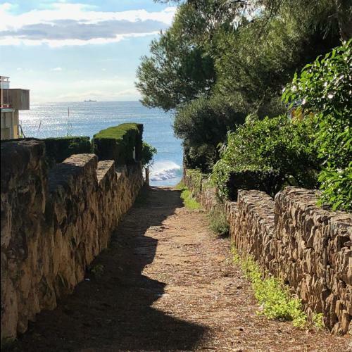 Entre Pinos P1 Beach Apartment