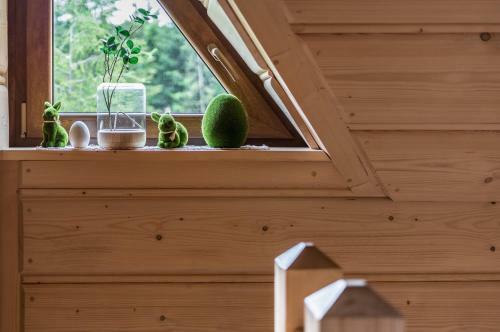Domek Odlotowy Zakatek