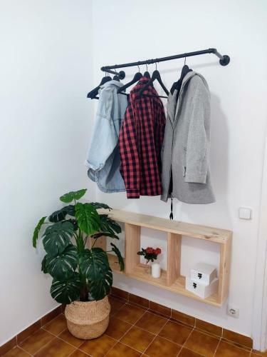 Apartamento Ca La Torreta