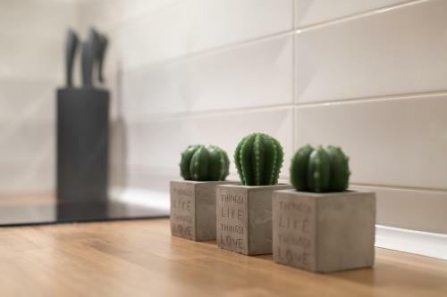 Apartamento Sobiczkowa Elegance