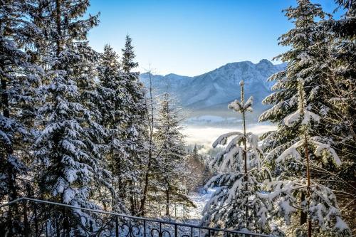 Lodge Chata Pod Bukiem 1