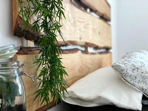 Apartamento Secona Domus Naturalis