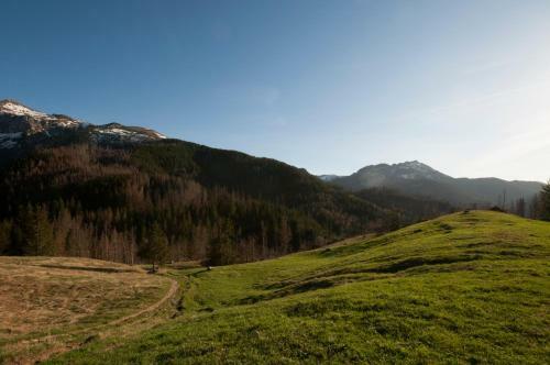 Apartament Zak?tek Mi?tusi