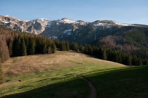 Apartament Zak?tek Mi?tusi