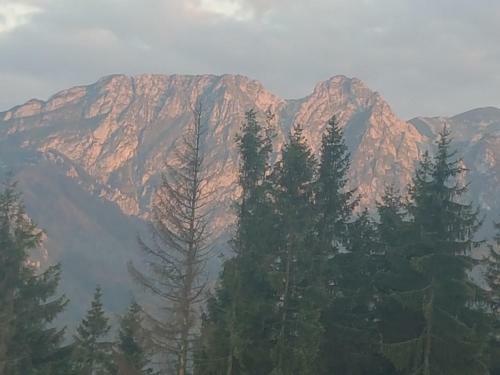 Apartament Sielanka, Basen Ko?cielisko