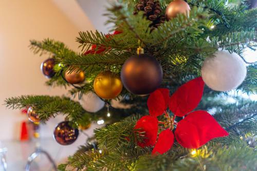 Apartament Tylas