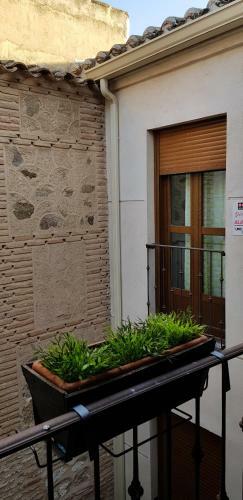 Apartamento Santa Ursula