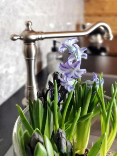 Apartamento Siedlisko Ko?cielisko