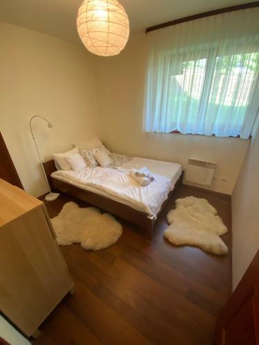 Apartament Widokowy