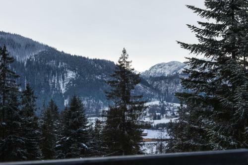 Apartamenty Smrek Zakopane