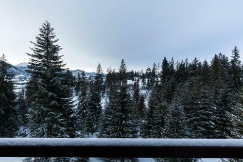 Apartamenty Smrek Zakopane