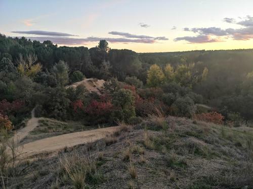 Apartamento Madrid Green