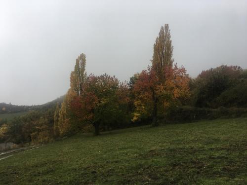 Chalet En El Pirineo De Arag�n