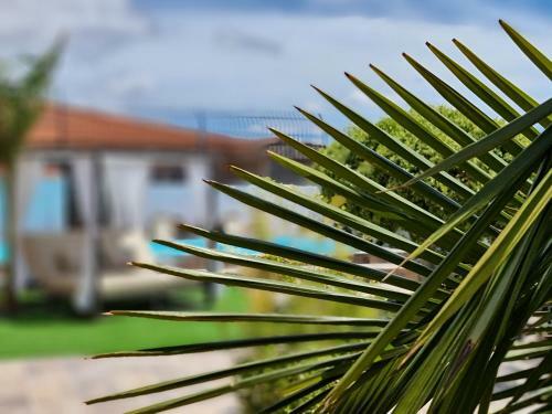 Apartamento Finca Luise
