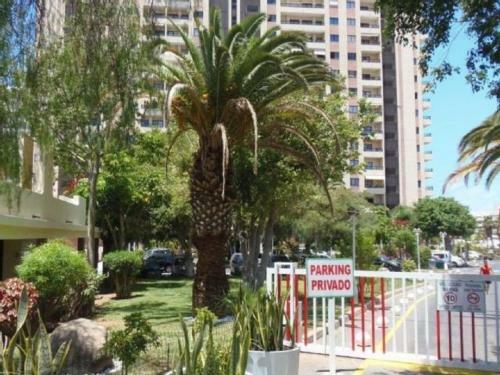 Apartamento Golden Dreams & Perfect For You *****