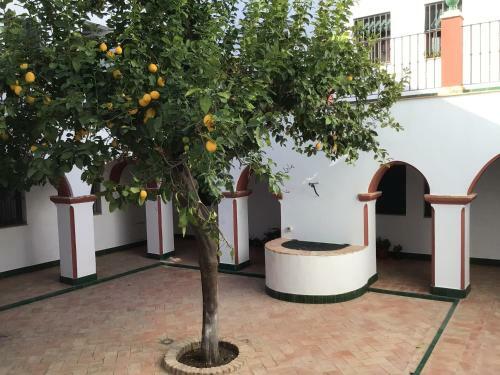 Apartamento Puerta Romana