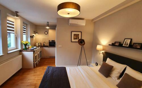Luxurious Apartments Gertrudy