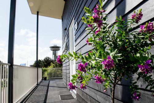 Apartamento De Berkenhof