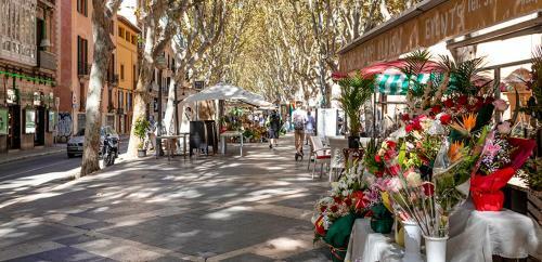 Hostal Mallorca Art House