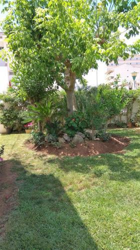 Pe�ismar Fincas Van Camp