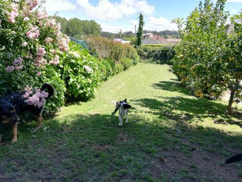 Bed & Breakfast Habitaci�n En Casa Cerca de La Playa