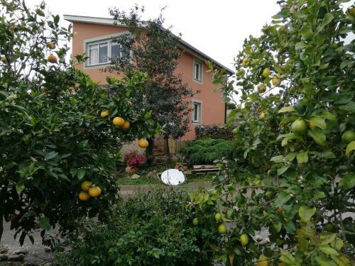 Bed & Breakfast Habitaci�n En Casa Cerca de La Playa