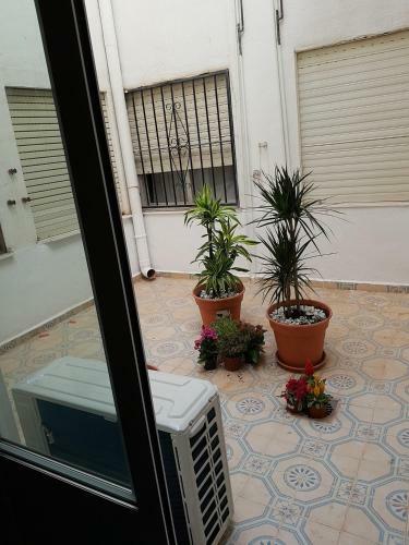 Apartamento Urbanizacion Balcon de Lomas, La Mata