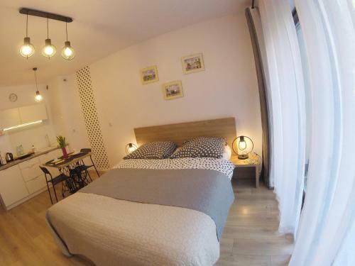 Polka Dot Cracow Apartament