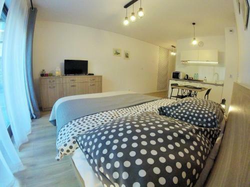 Polka Dot Cracow Apartament