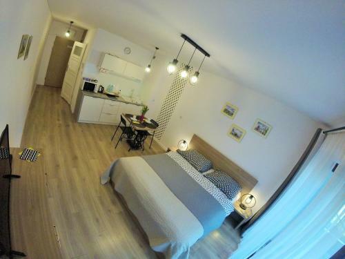 Polka Dot Cracow Apartament