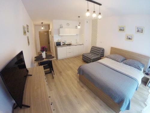 Polka Dot Cracow Apartament
