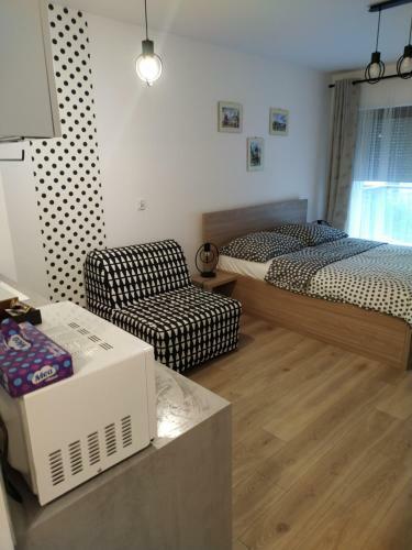 Polka Dot Cracow Apartament